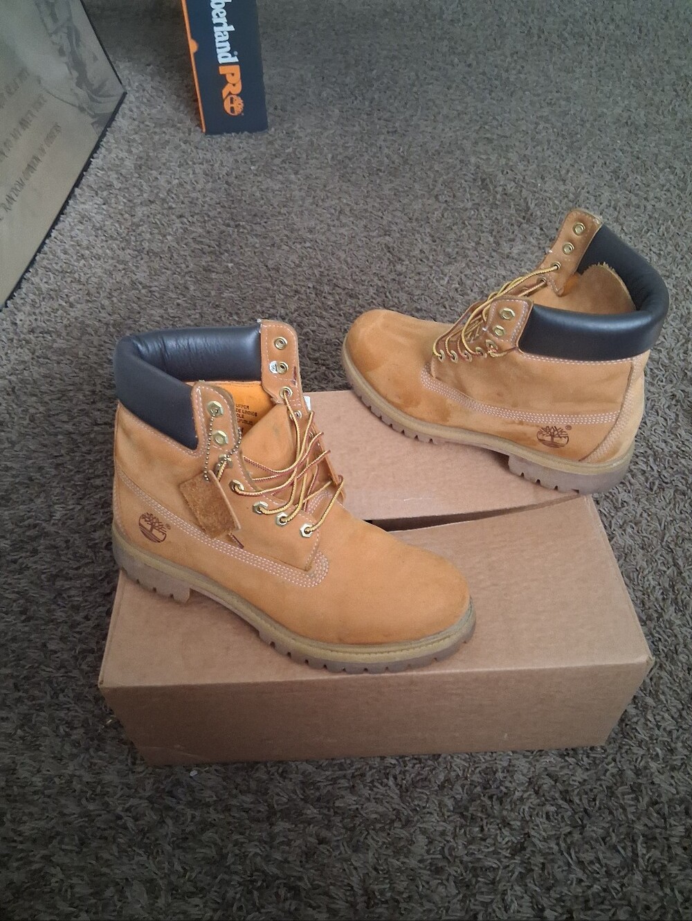 Timberland  Wheat/Tan Boots with Black Collar